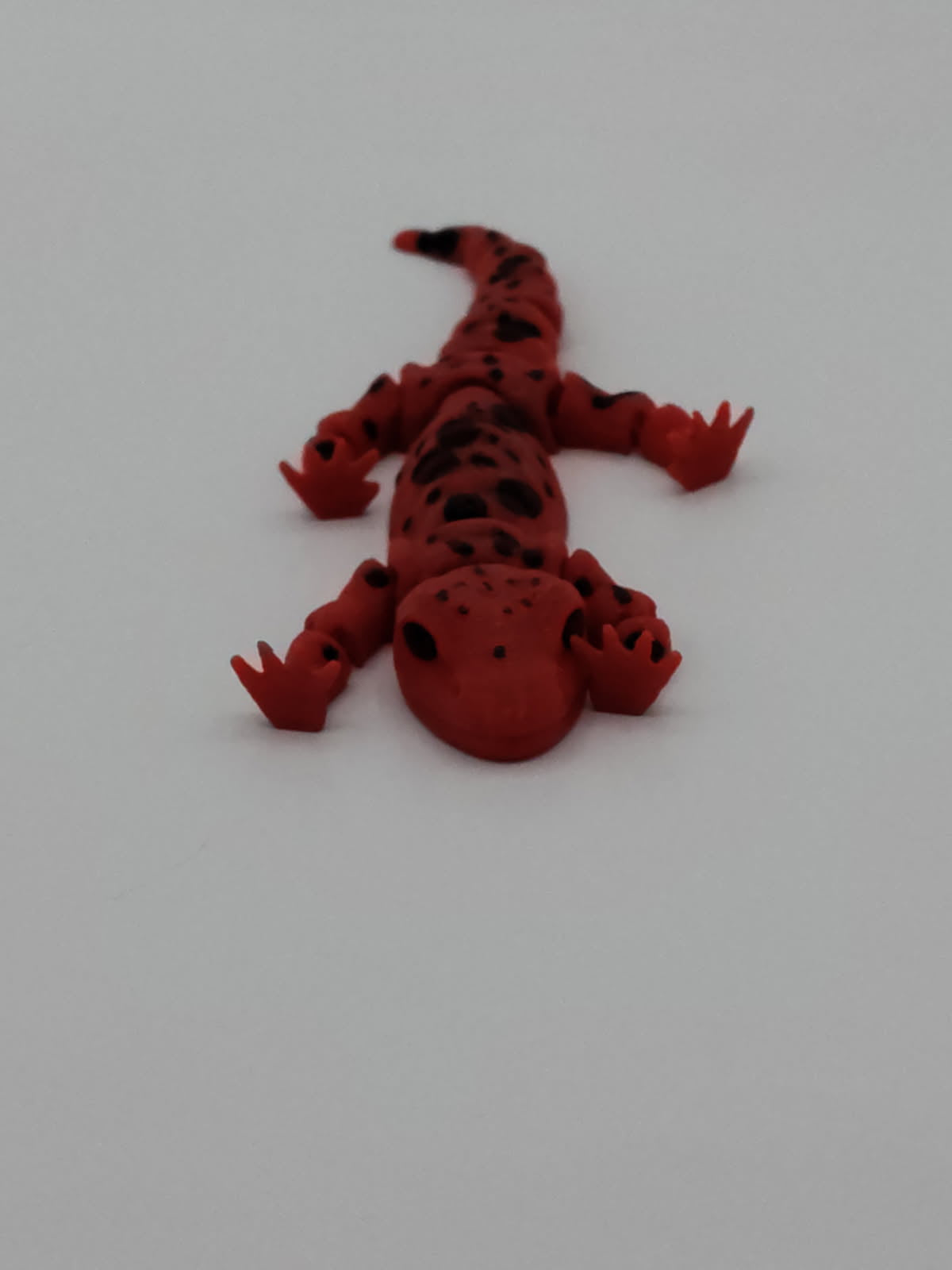 Salamander