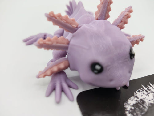 Axolotl