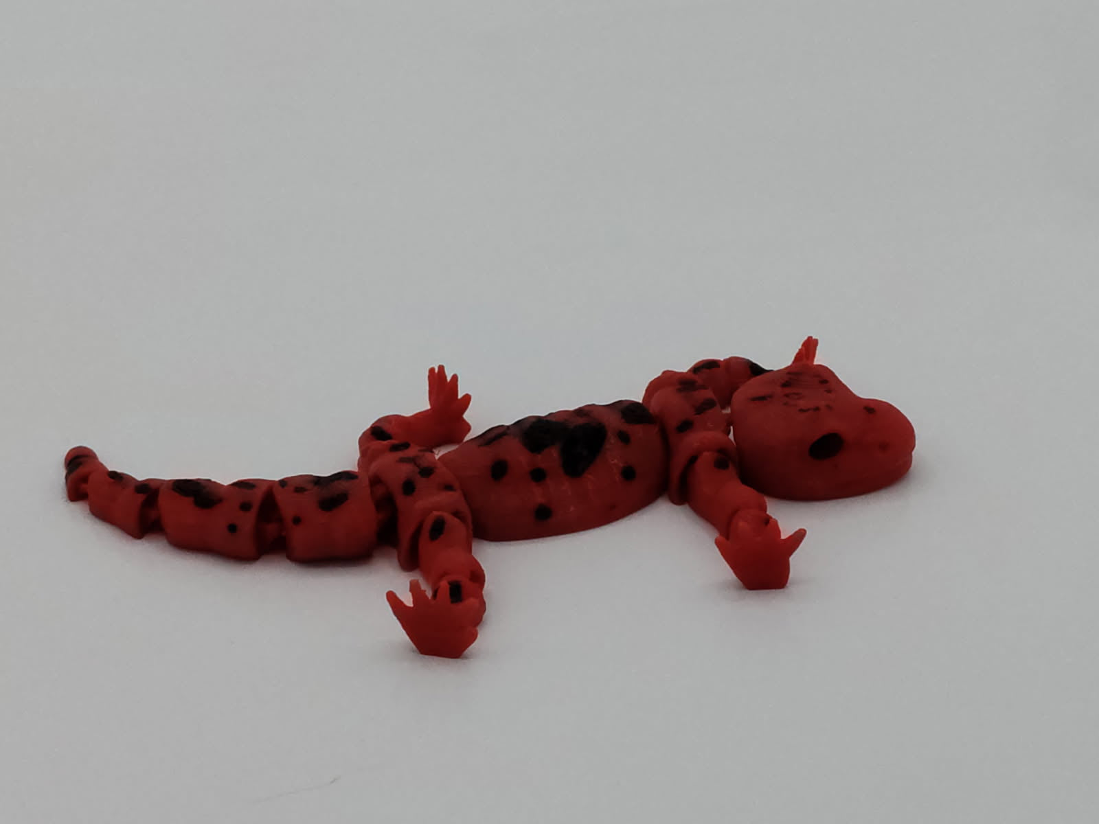 Salamander