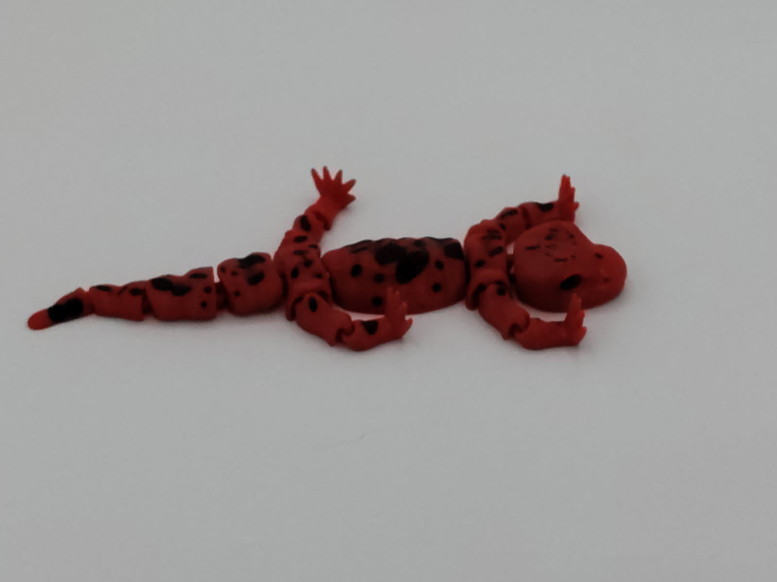 Salamander