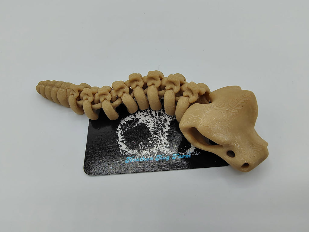 Rattlesnake Skeleton