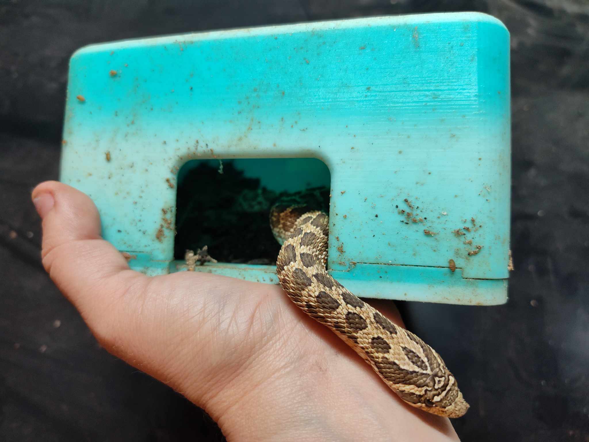 Origin Hide Box