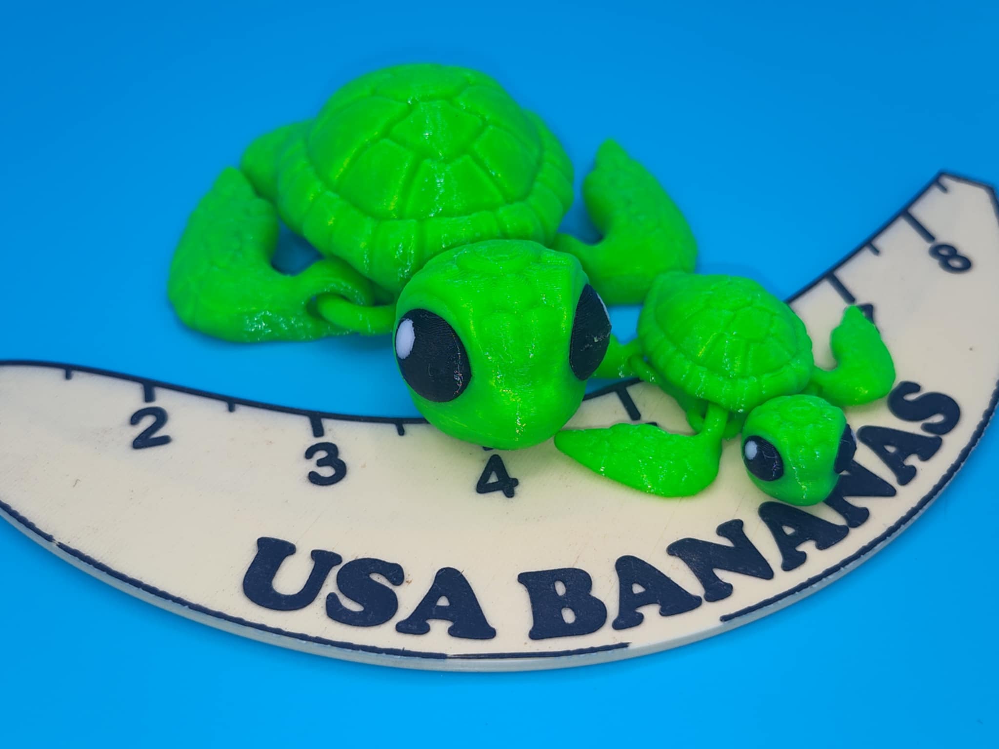 Sea Turtle