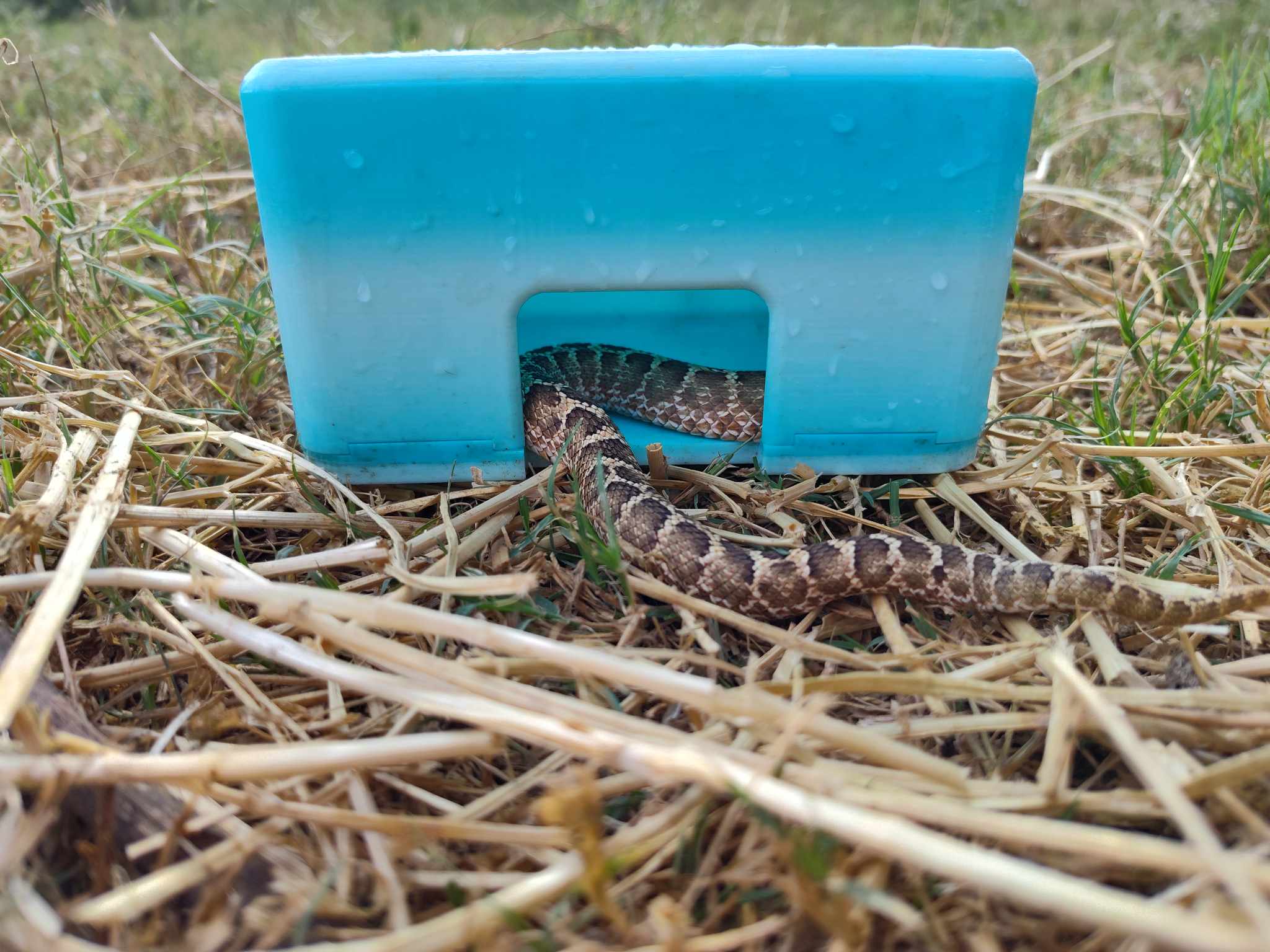 Origin Hide Box
