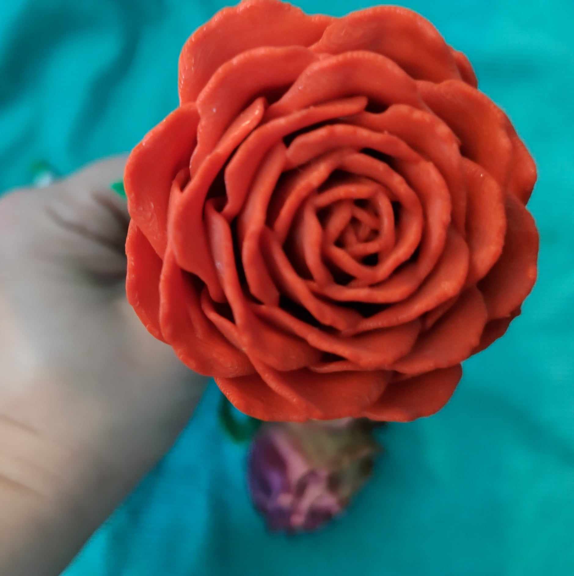 Roses