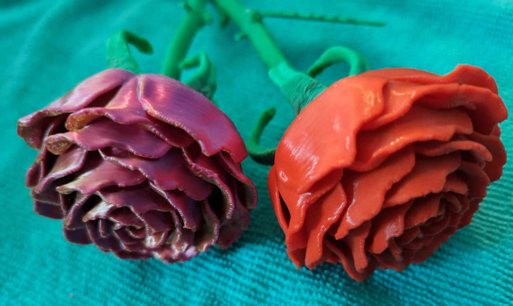 Roses