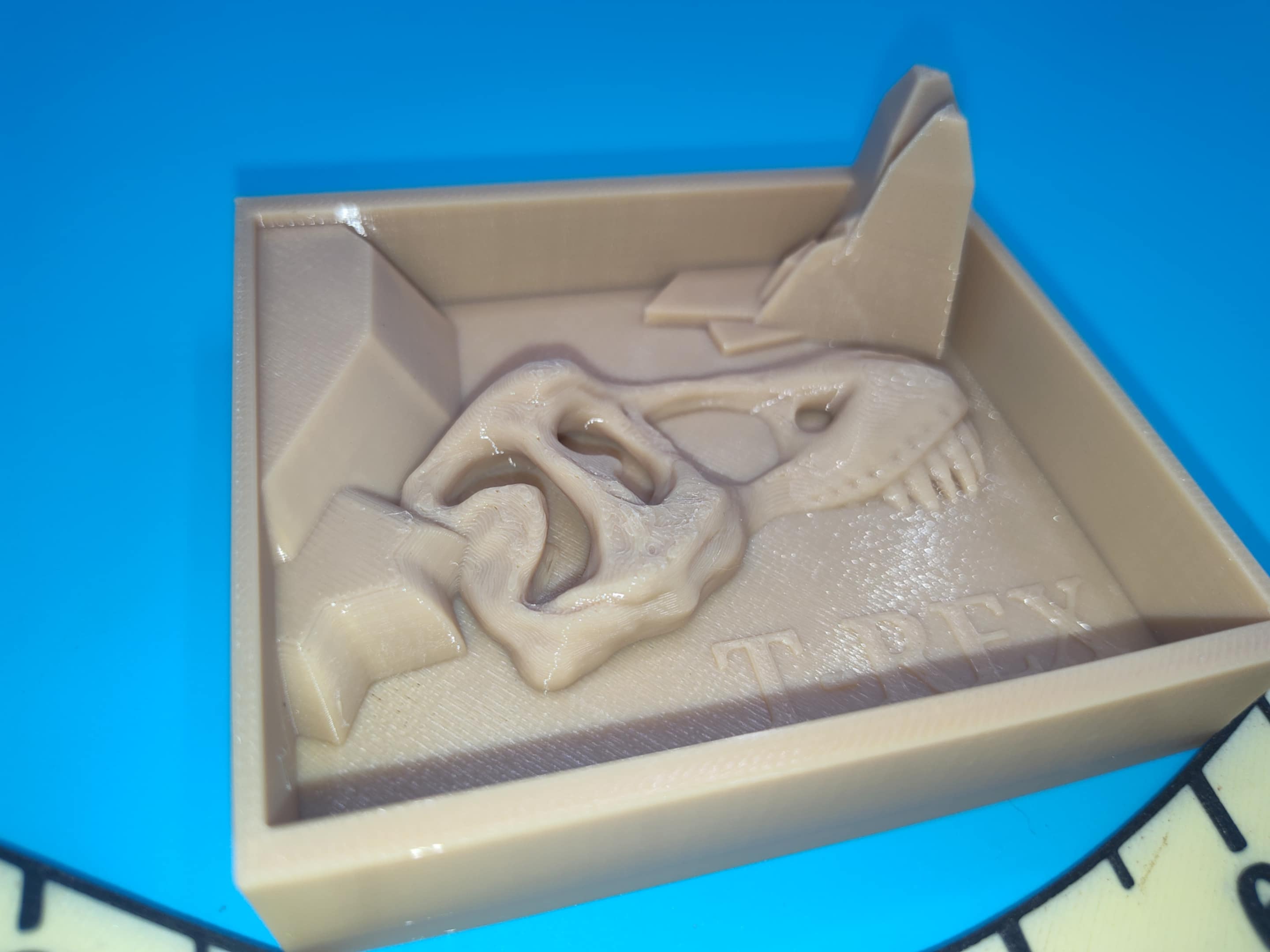 T Rex Dig Box