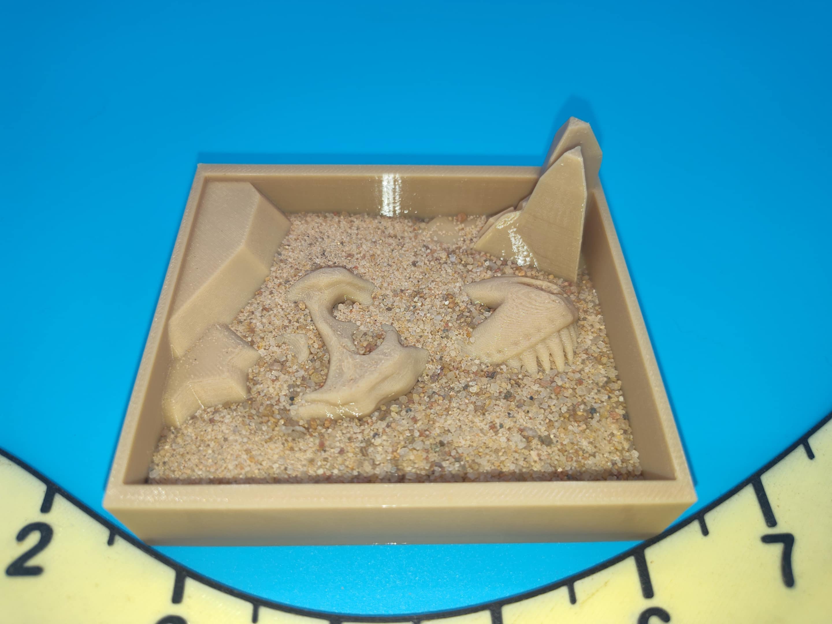 T Rex Dig Box