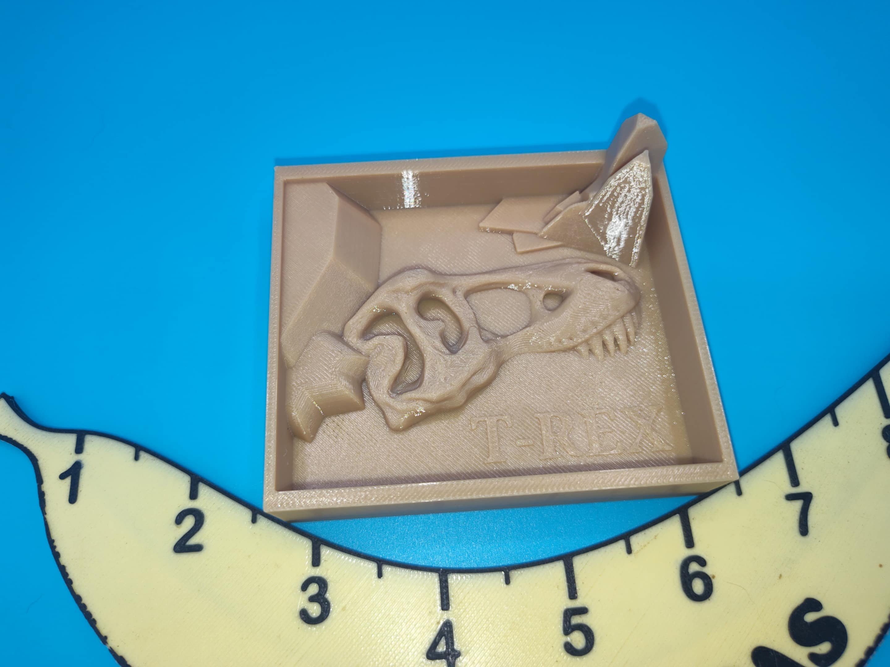 T Rex Dig Box