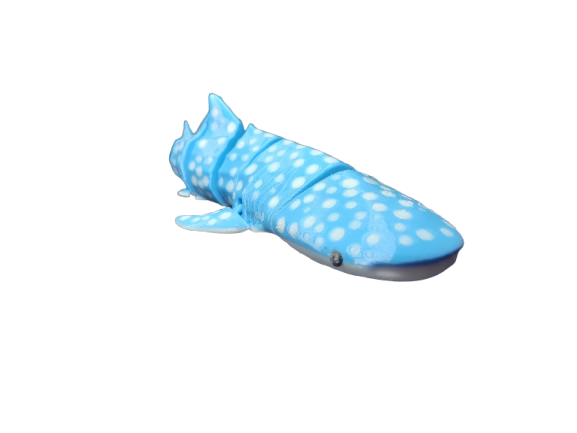 whaleshark