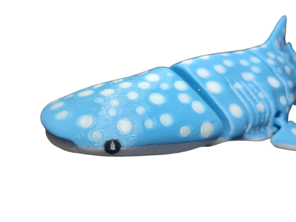 whaleshark