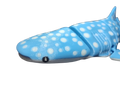 whaleshark