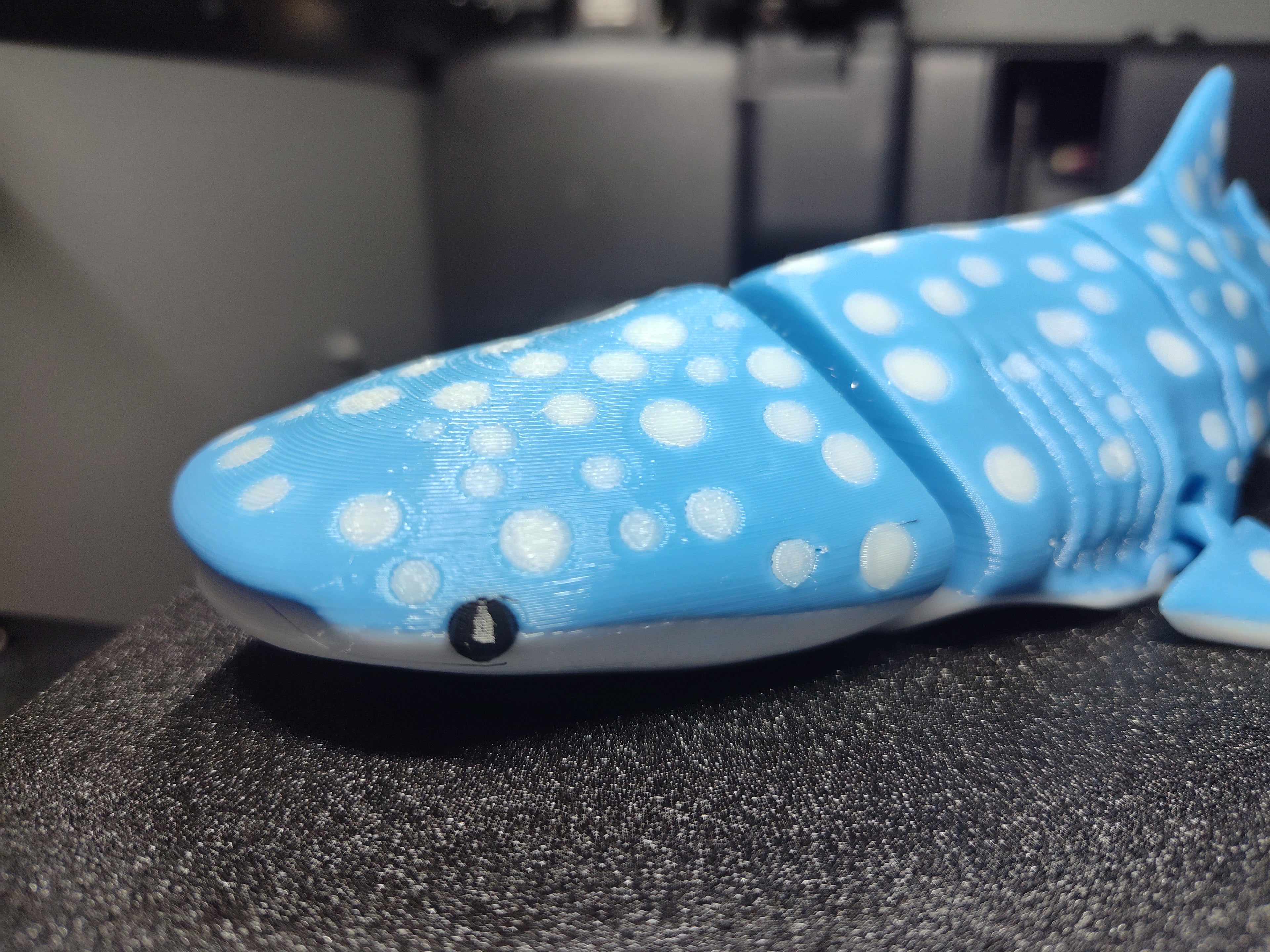 whaleshark